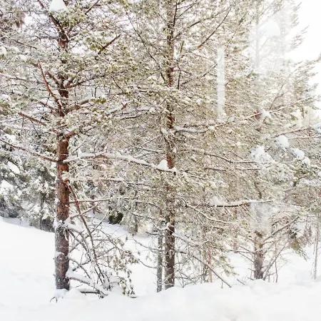 Rukan Kide A By Interhome * Рука